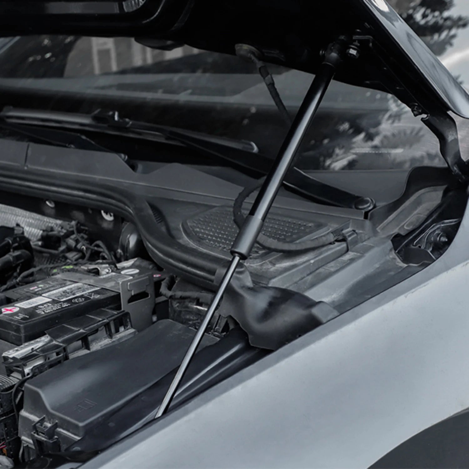 Hood Bonnet Strut Kit for Golf MK8 (2022–2025) - EuroSpeed